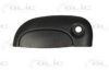 BLIC 6010-09-029401P Door Handle